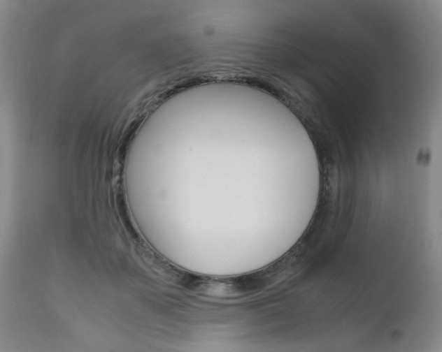 X0000111010507200906191210