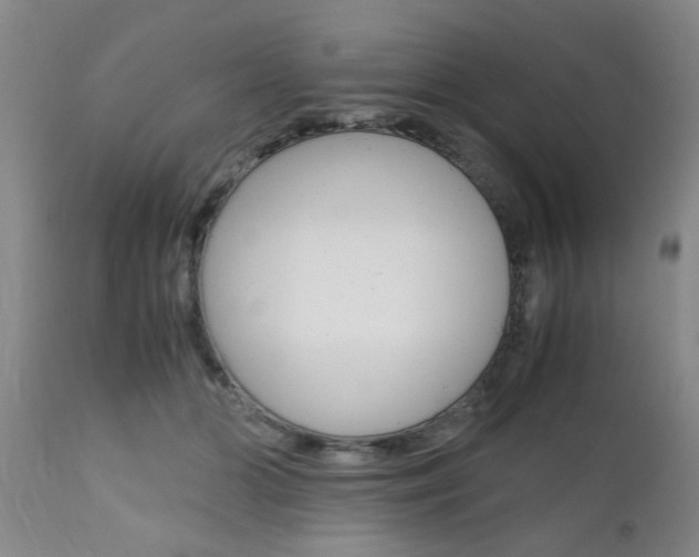 X0000111010510200906191210