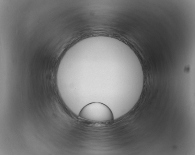 X0000111010512200906191210