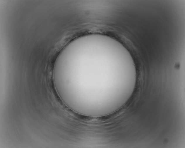 X0000111010513200906191210