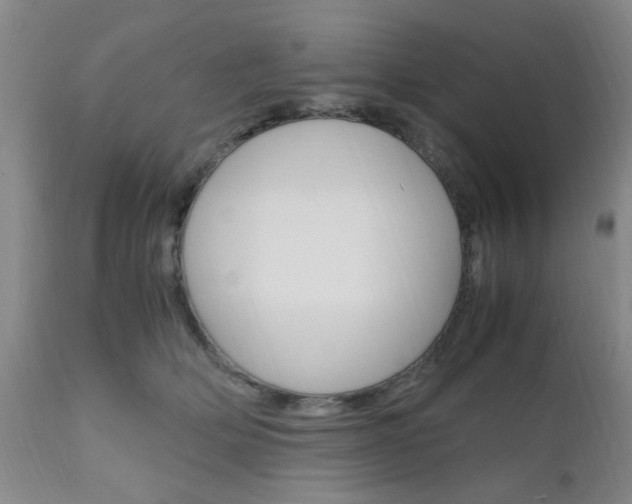 X0000111010514200906191210