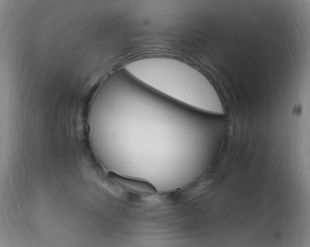 X0000111010516200906191210