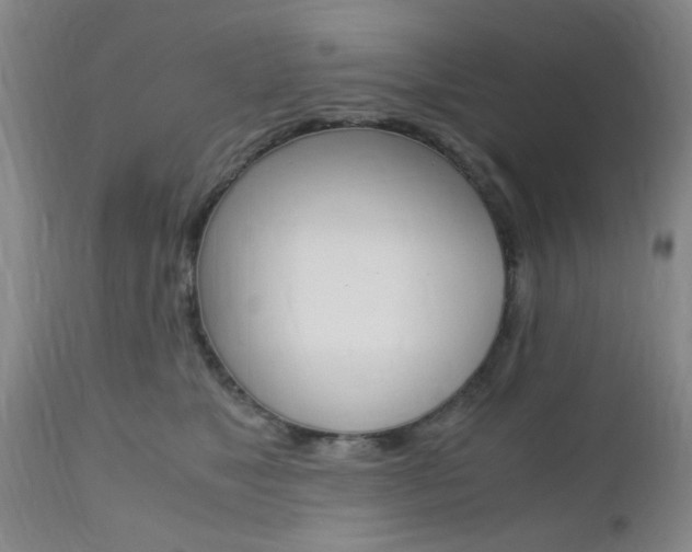 X0000111010517200906191210