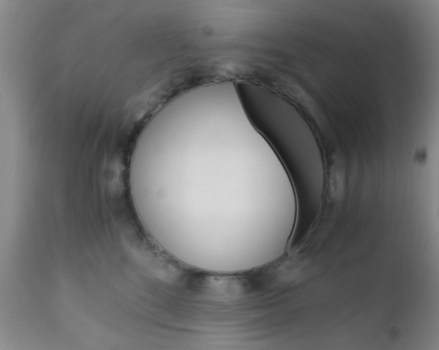 X0000111010520200906191210