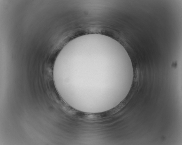 X0000111010522200906191210