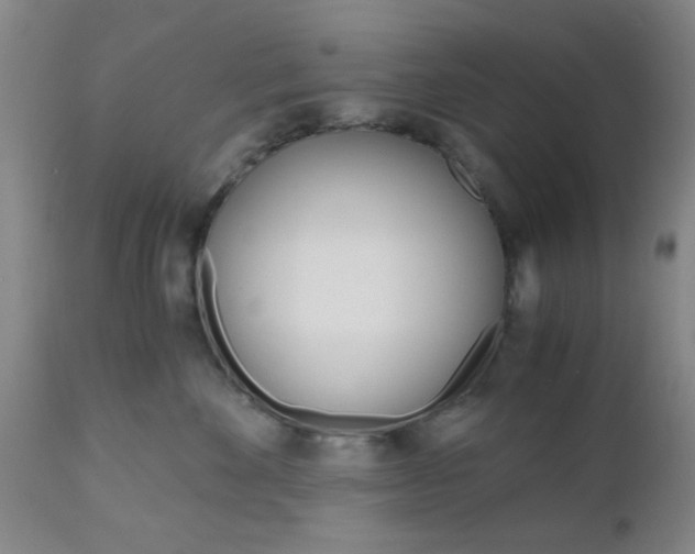 X0000111010524200906191210
