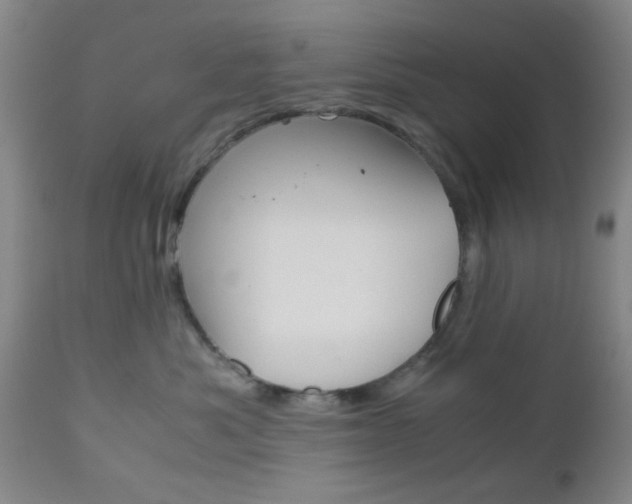 X0000111010525200906191210
