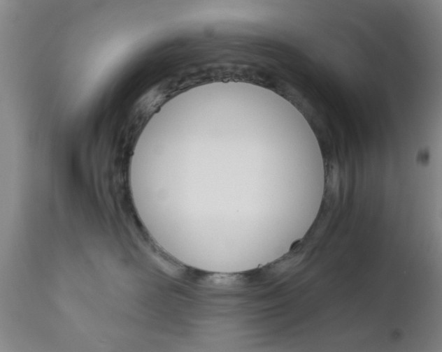 X0000111010526200906191210