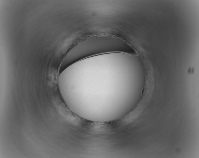 X0000111010528200906191210