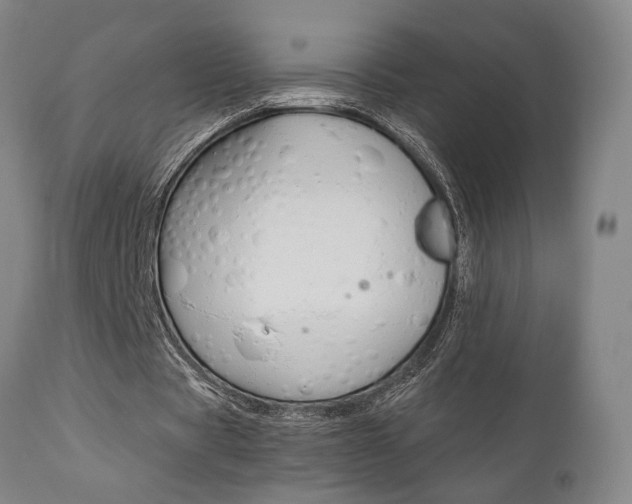 X0000111010529200906191209