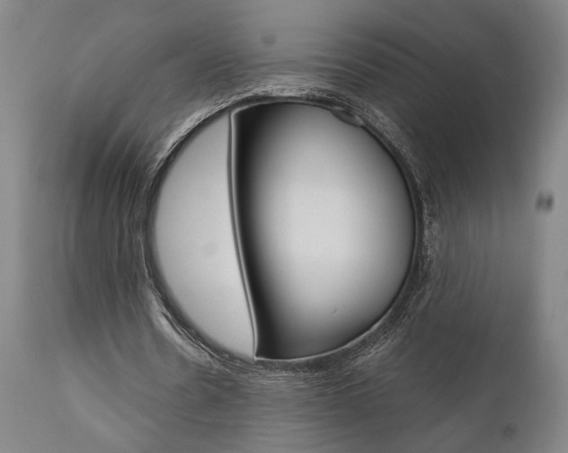 X0000111010530200906191209