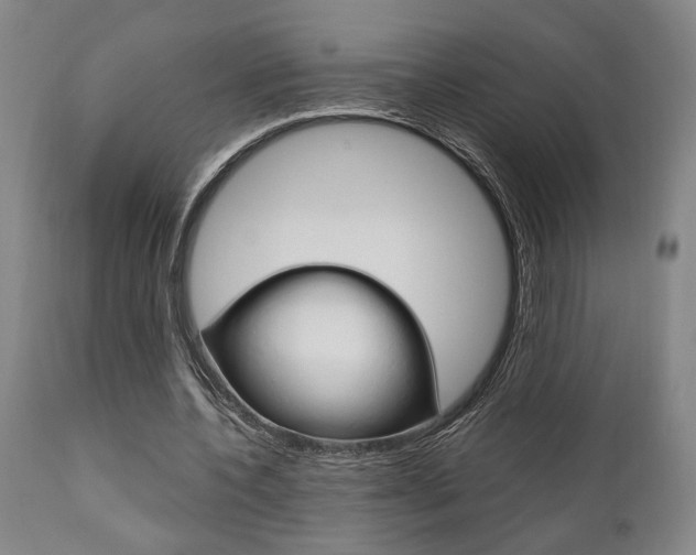 X0000111010532200906191209