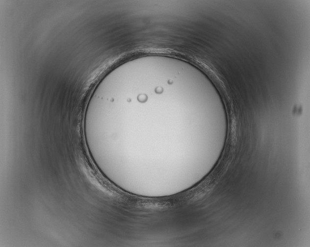 X0000111010533200906191209