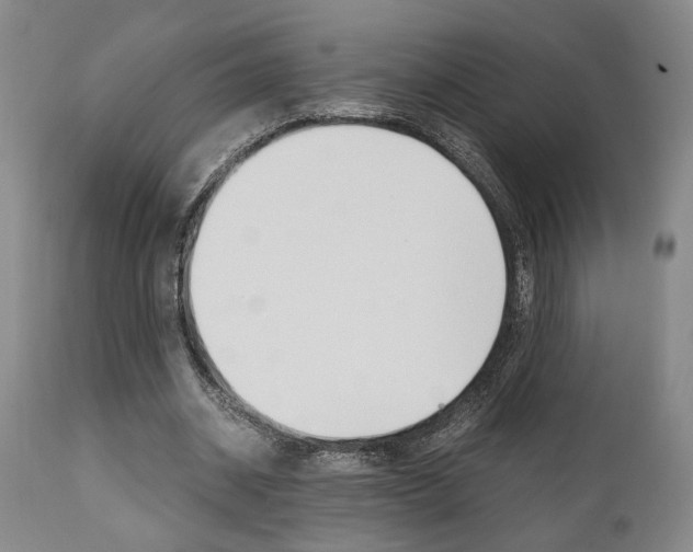 X0000111010534200906191209