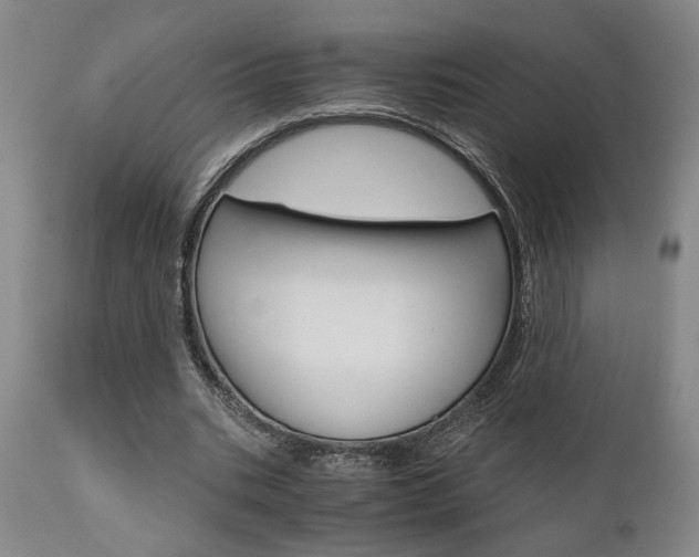 X0000111010535200906191209
