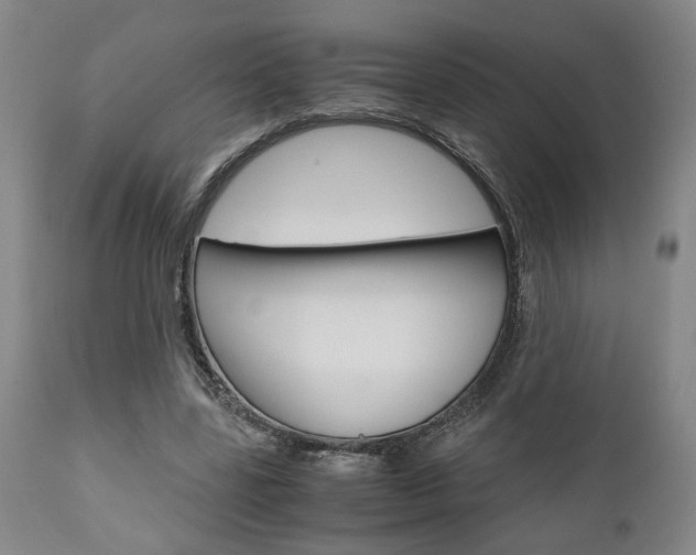 X0000111010539200906191209