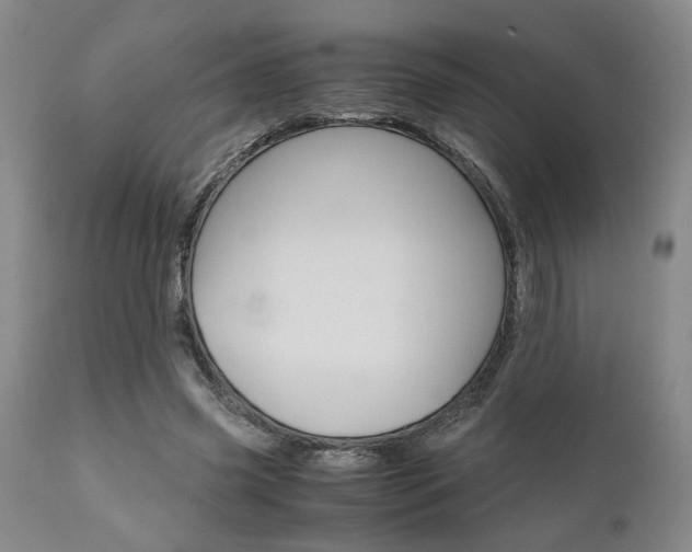 X0000111010541200906191210