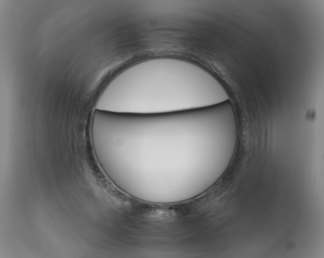 X0000111010543200906191210