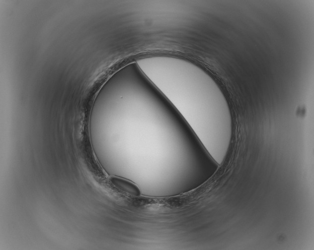 X0000111010544200906191210