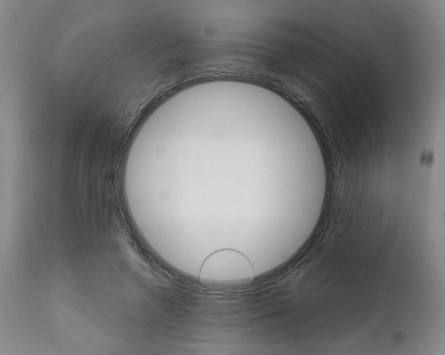 X0000111010546200906191210