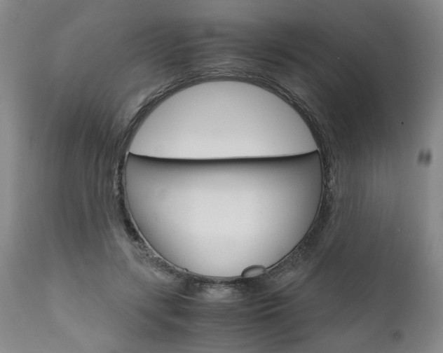X0000111010547200906191210