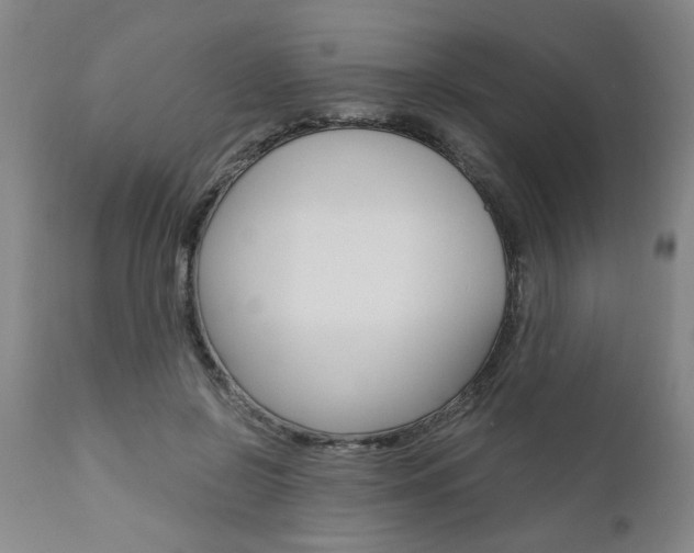 X0000111010550200906191210