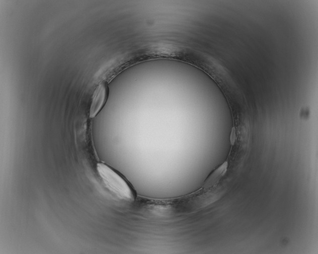 X0000111010552200906191210
