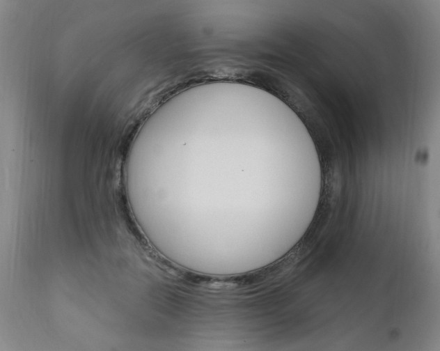 X0000111010554200906191210