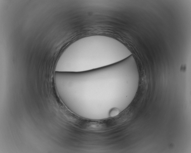 X0000111010555200906191210