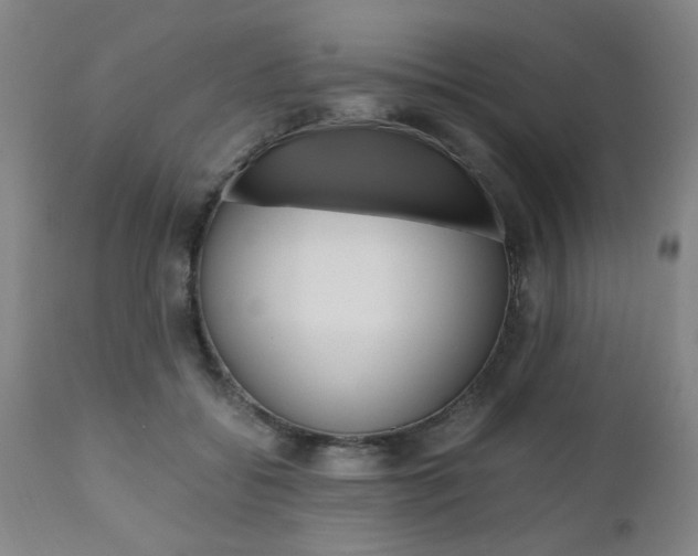 X0000111010556200906191210