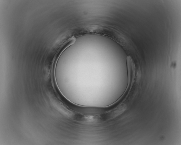 X0000111010558200906191210