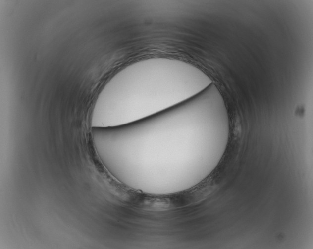 X0000111010559200906191210