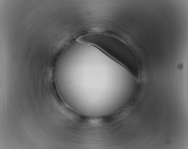 X0000111010560200906191210