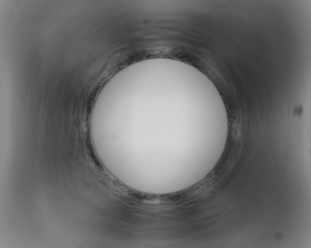 X0000111010561200906191210