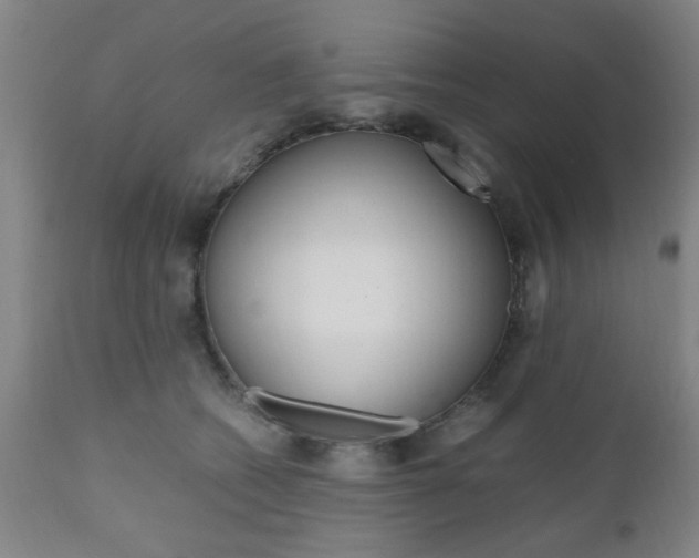 X0000111010562200906191210