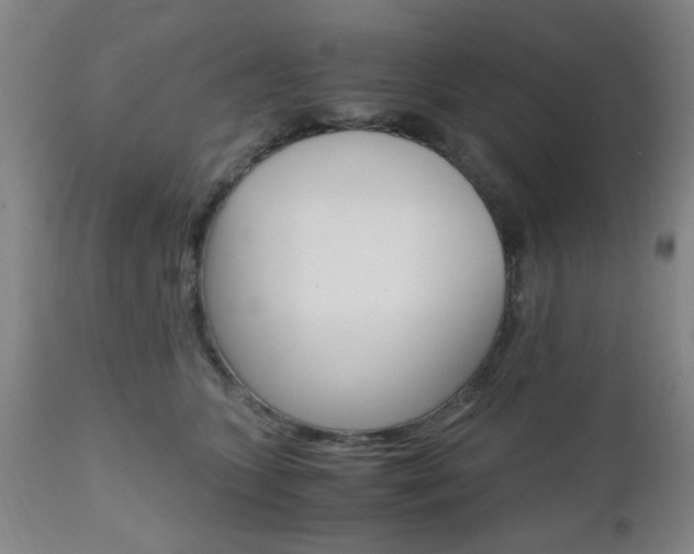 X0000111010563200906191210