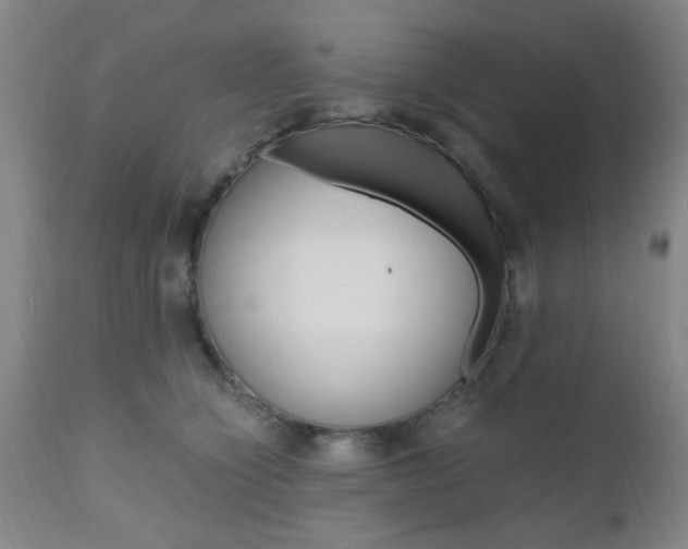 X0000111010564200906191210