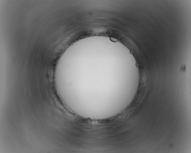 X0000111010565200906191210