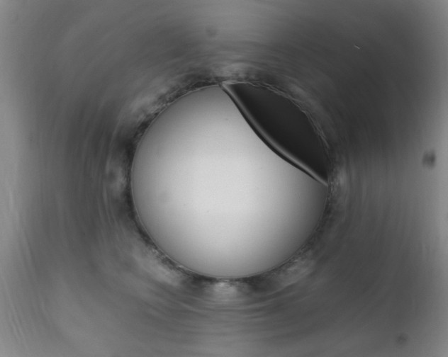 X0000111010566200906191210