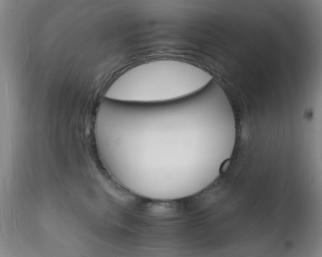X0000111010567200906191210