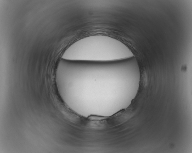 X0000111010571200906191210