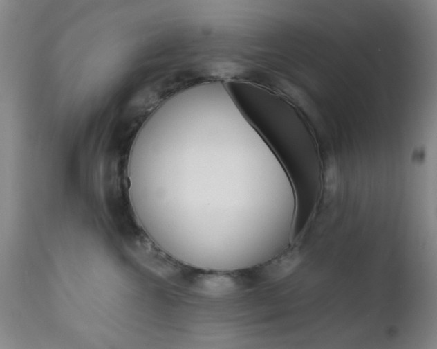 X0000111010572200906191210