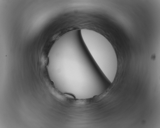 X0000111010574200906191210