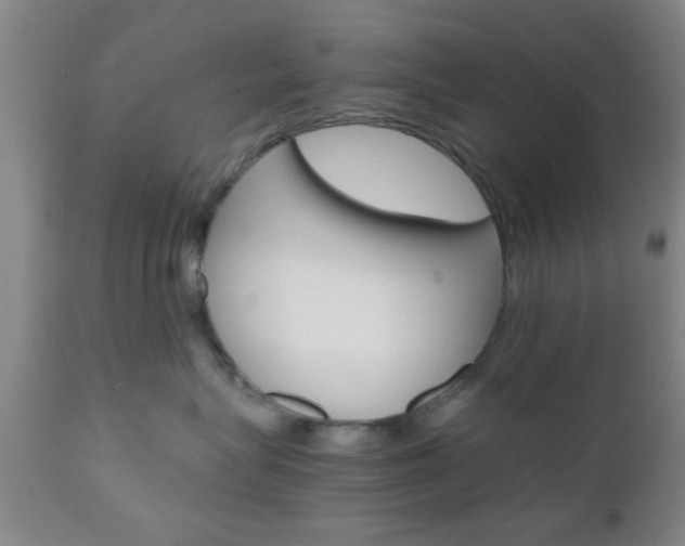 X0000111010575200906191210