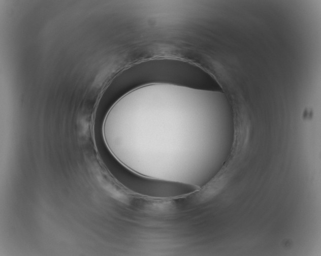X0000111010576200906191210