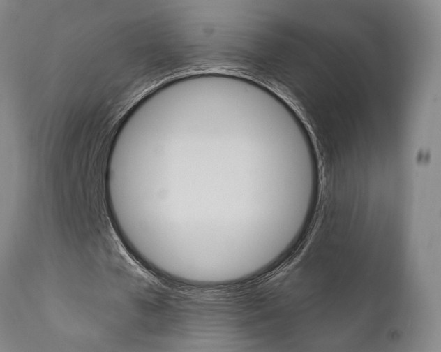X0000111010577200906191209