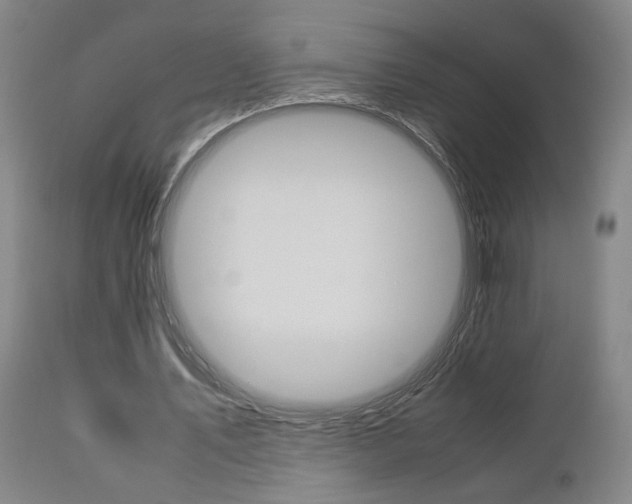 X0000111010579200906191209