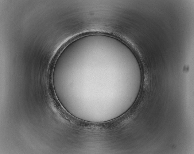 X0000111010580200906191209