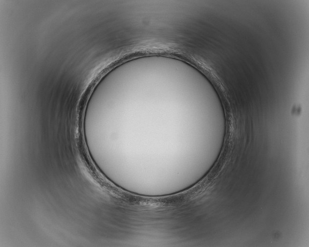X0000111010582200906191209