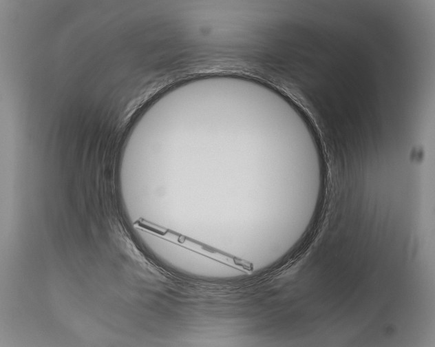 X0000111010585200906191209
